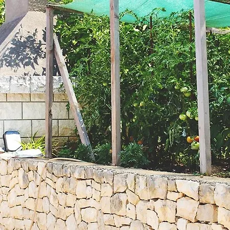 아파트 By The Sea Prigradica, Korcula - 14341